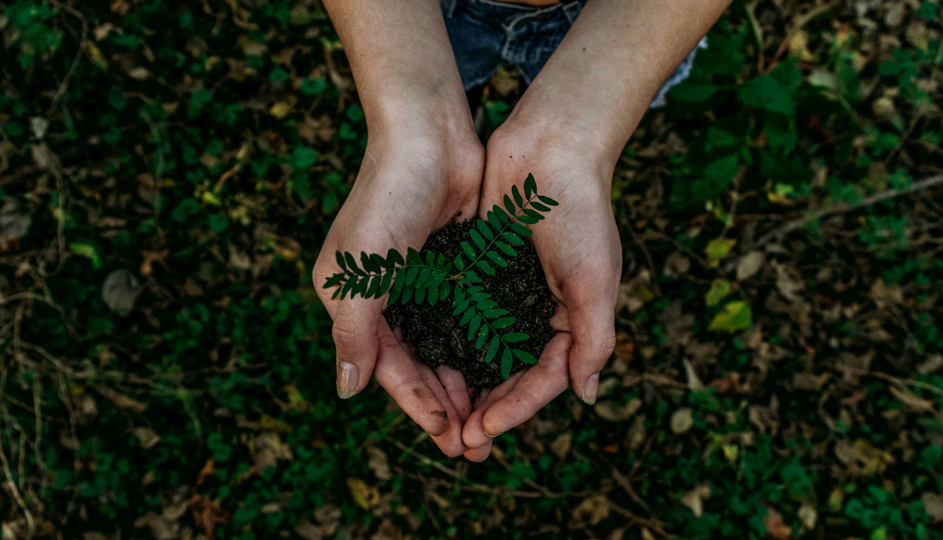 Green Mortgage Market Initiative