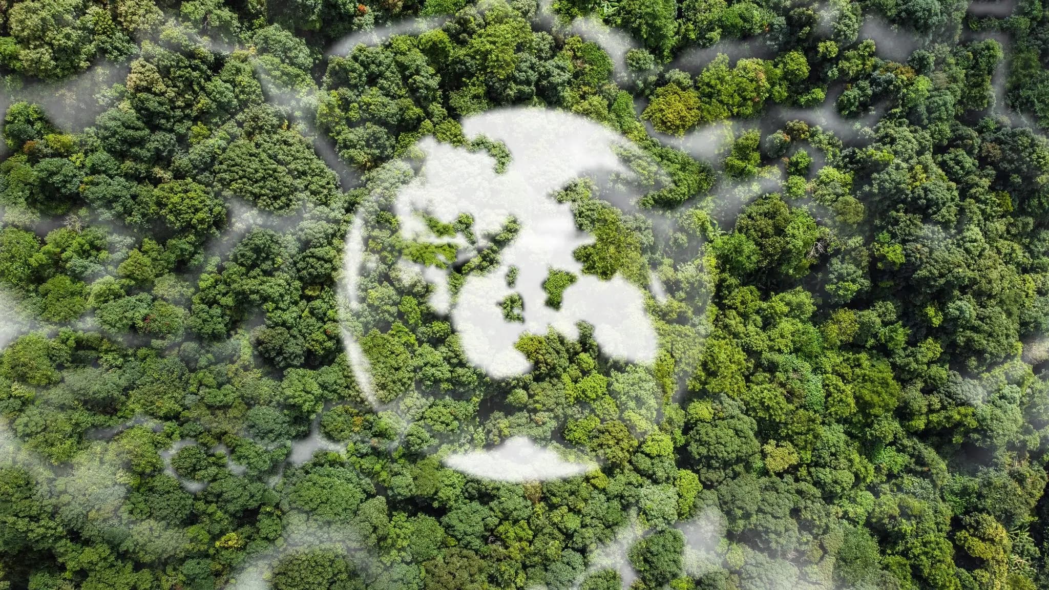 Climate Adaptation