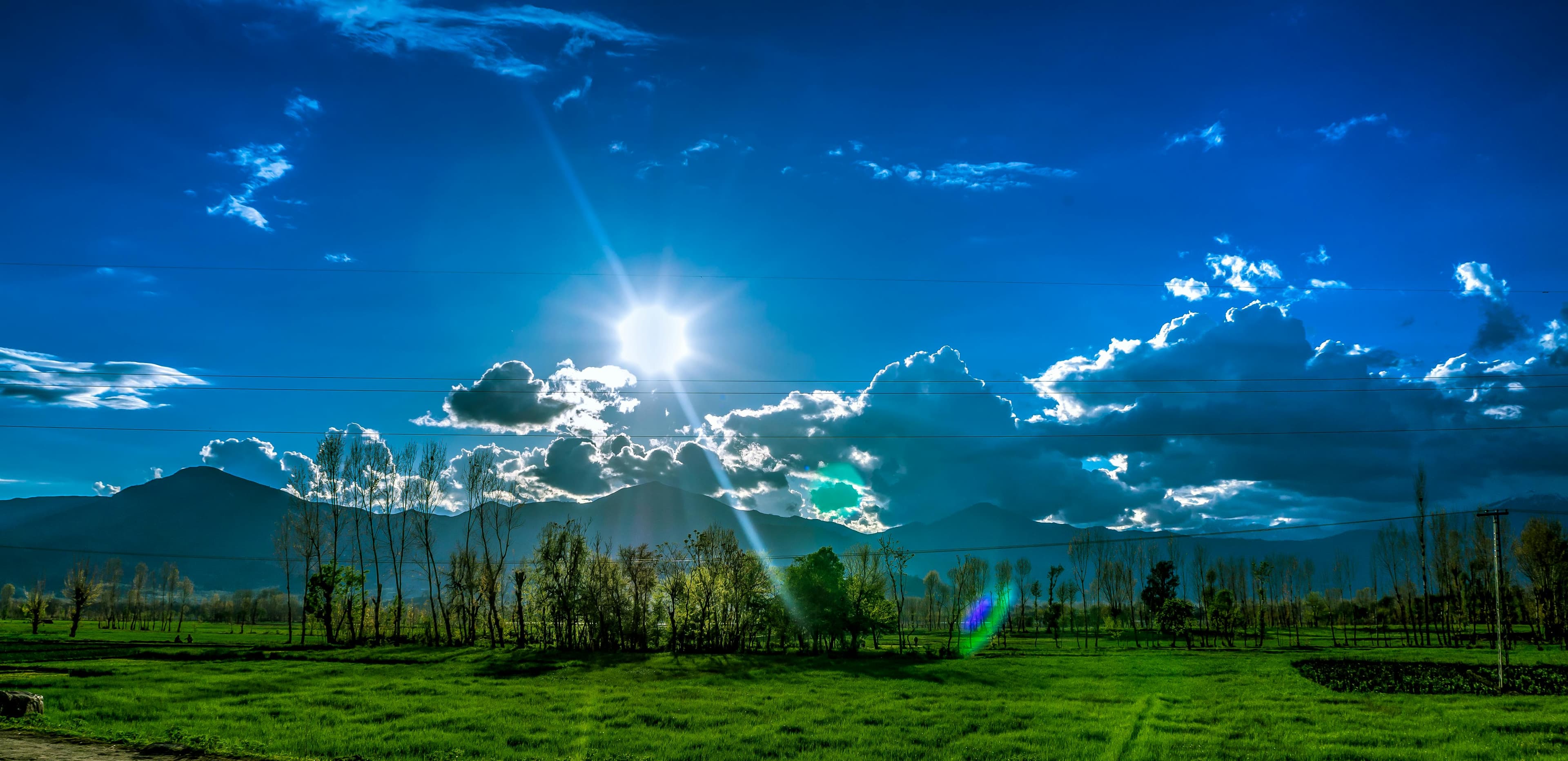 Climate Mitigation