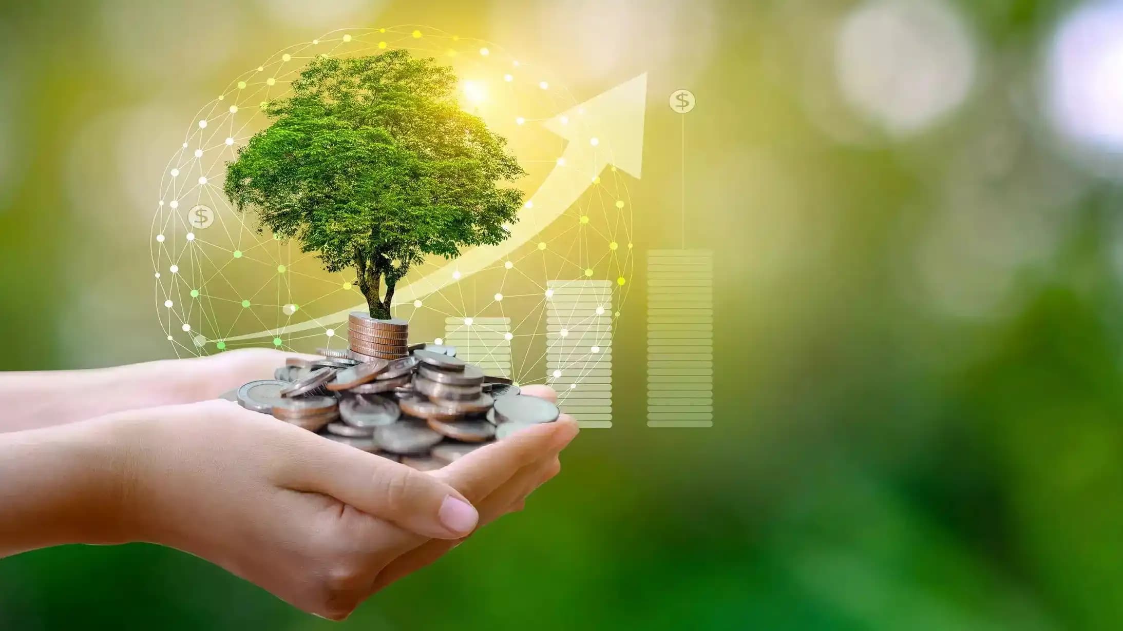 Green Finance Hub