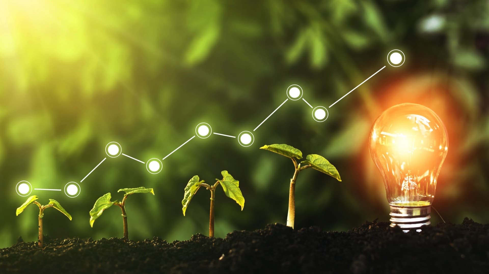 Green Technology Hub