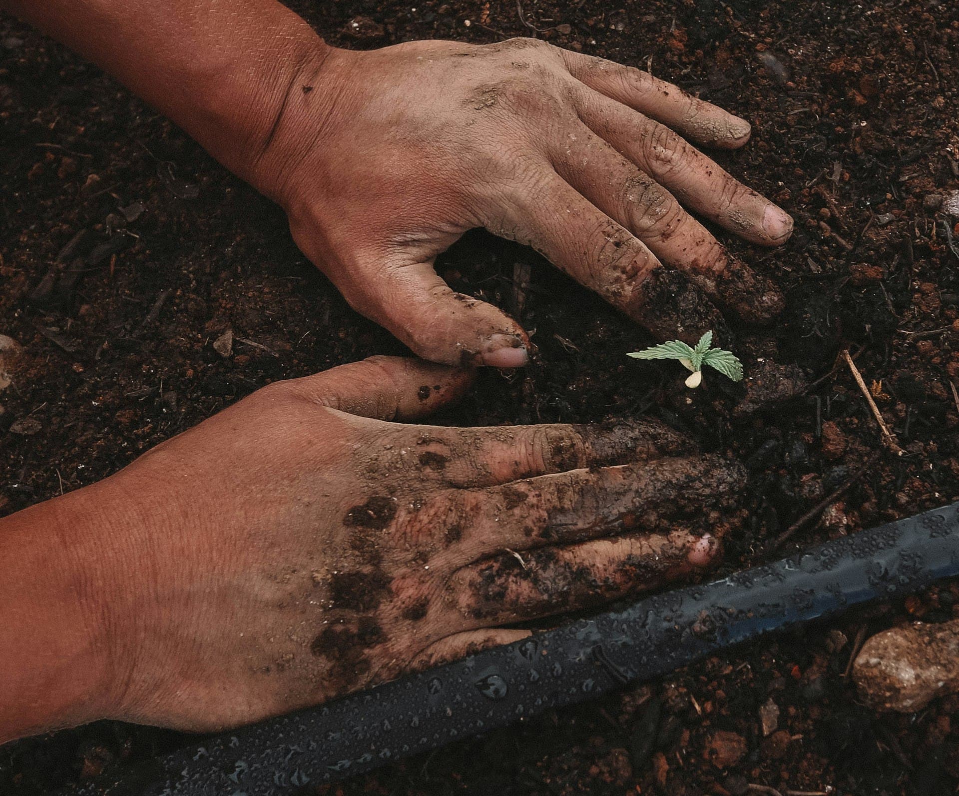 Sustainable agriculture initiative