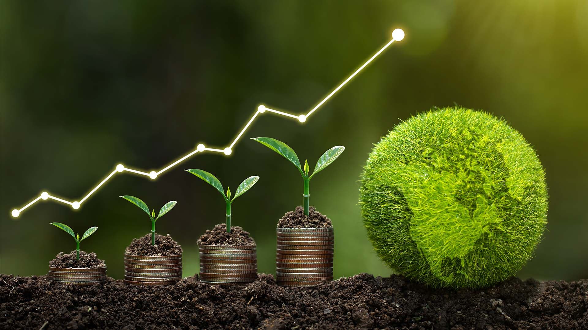 Climate Leadership Fellowship