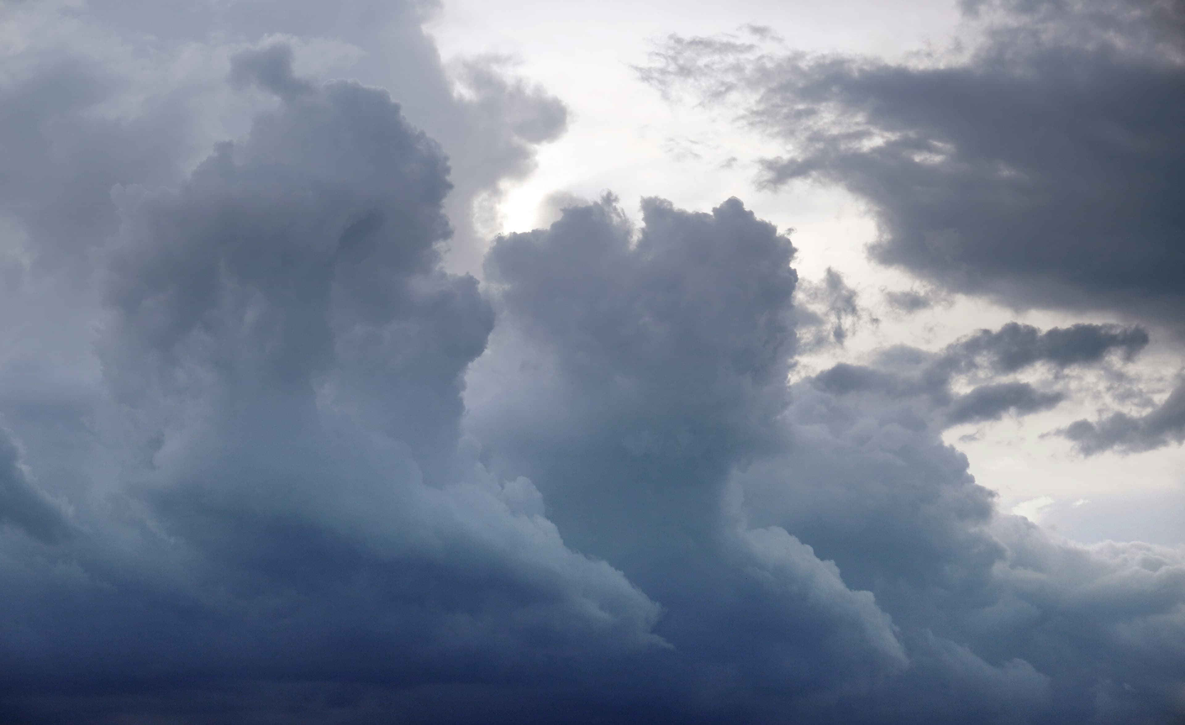 Climate Policy Intelligence