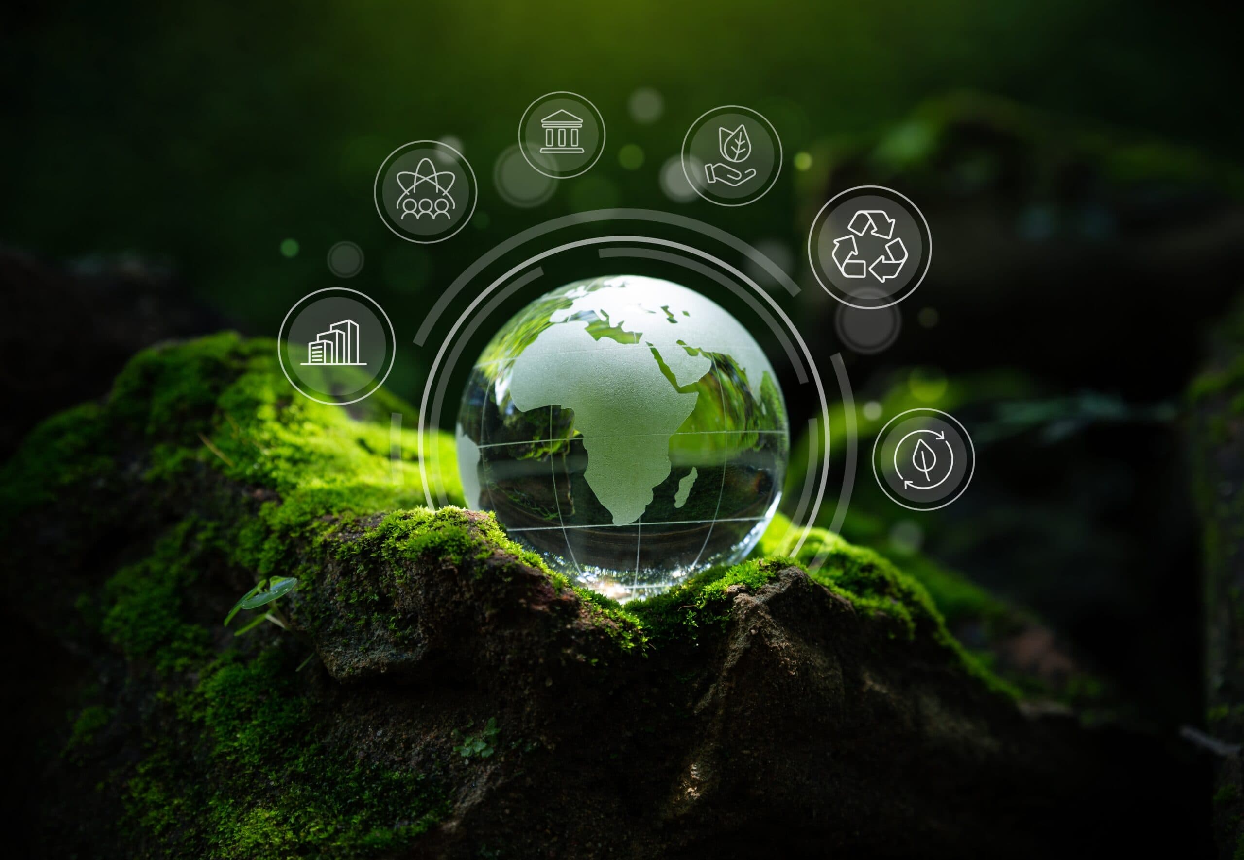 Sustainable Finance Innovation Lab